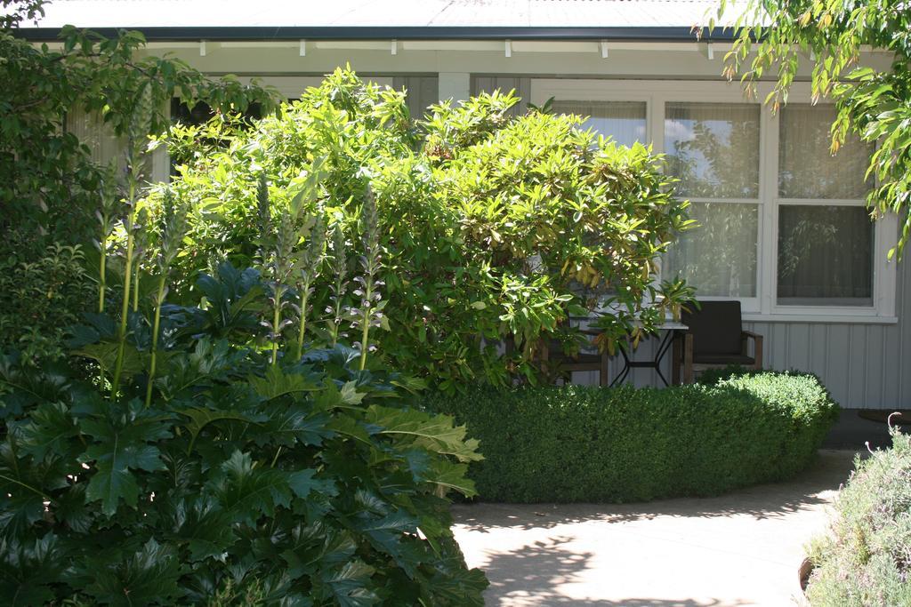 Elm Lodge ברייט מראה חיצוני תמונה