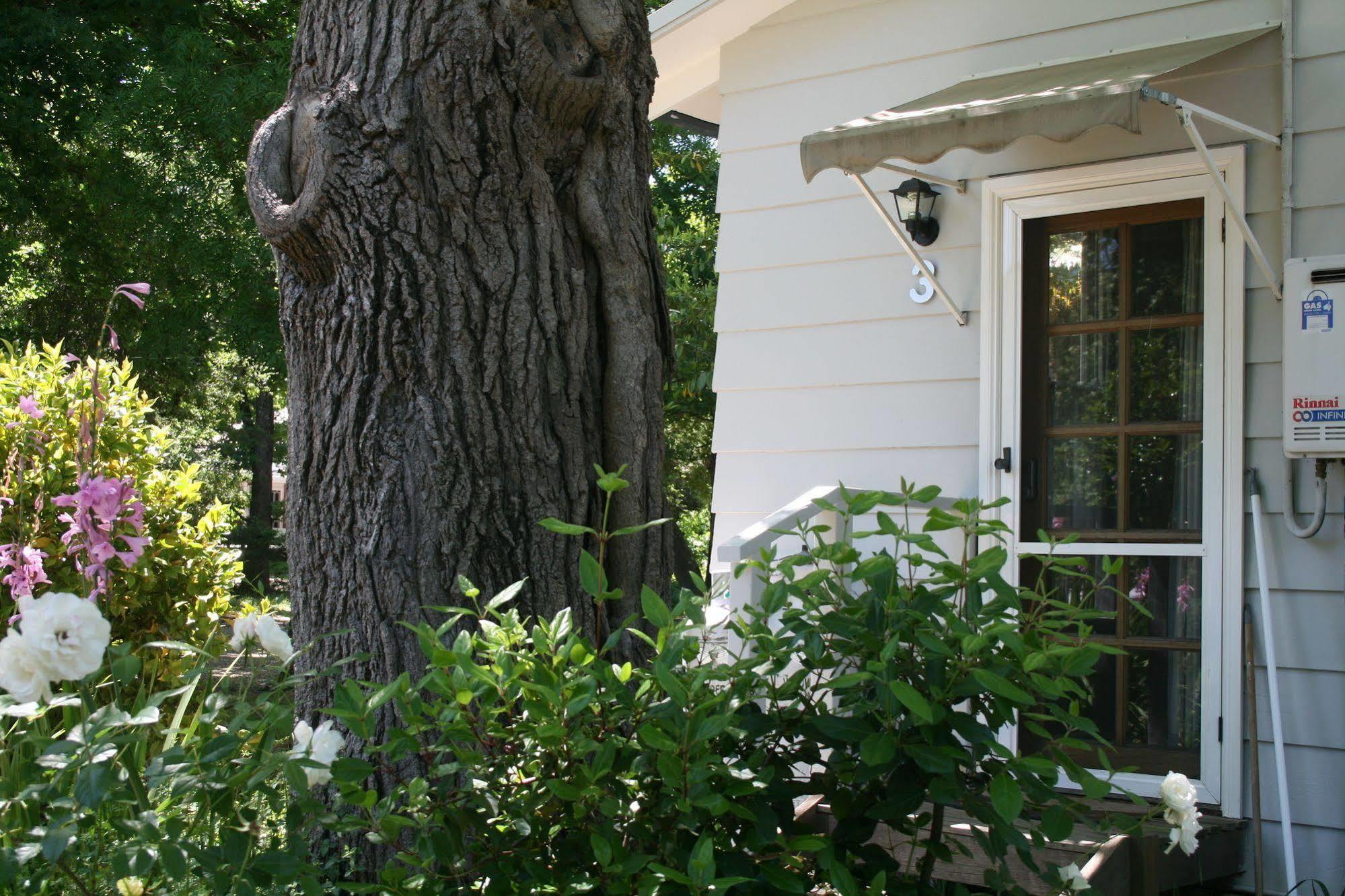 Elm Lodge ברייט מראה חיצוני תמונה